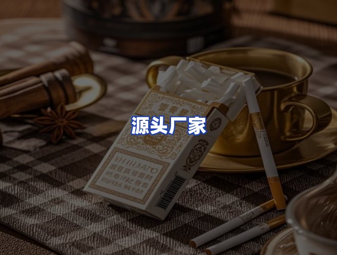 专业团队